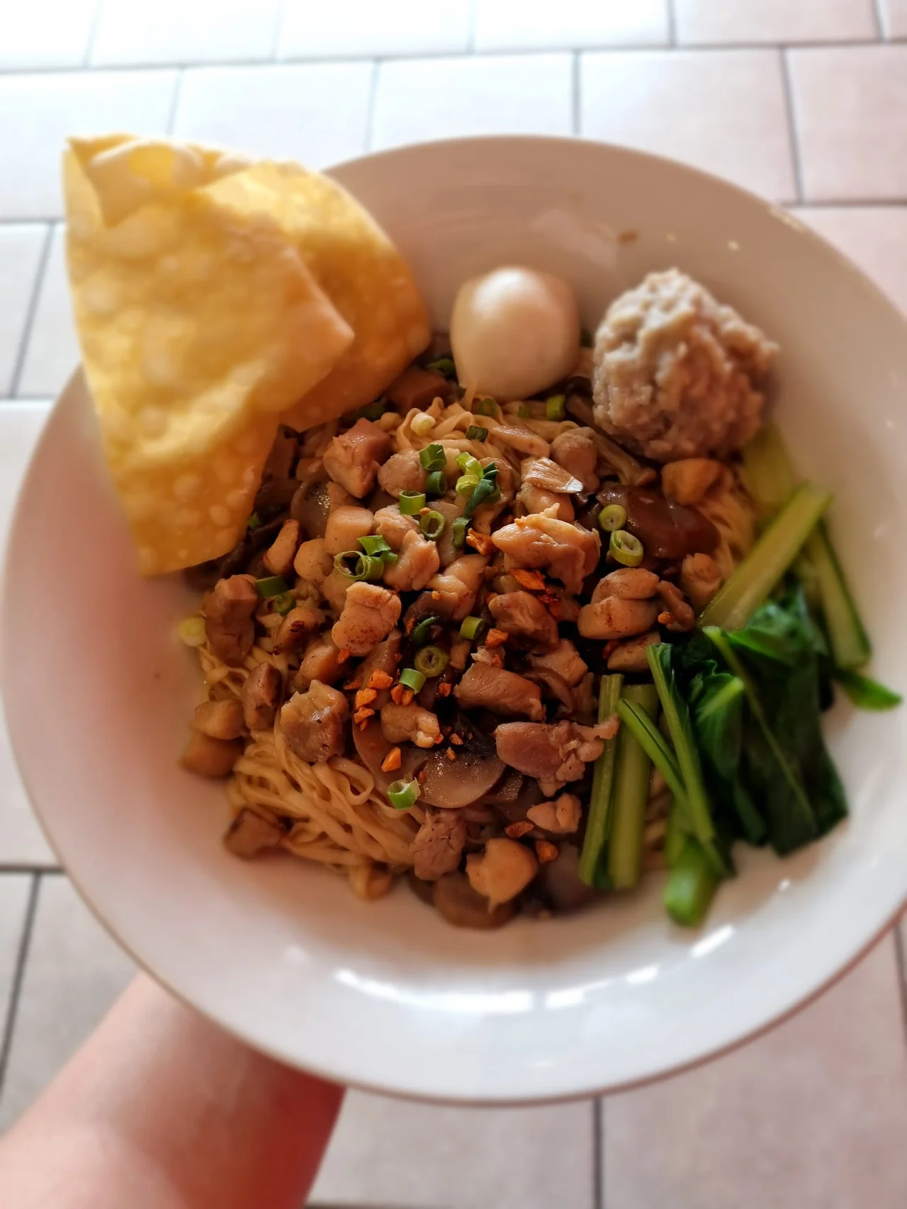 Chicken and Mushroom (Angel Hair Noodle)