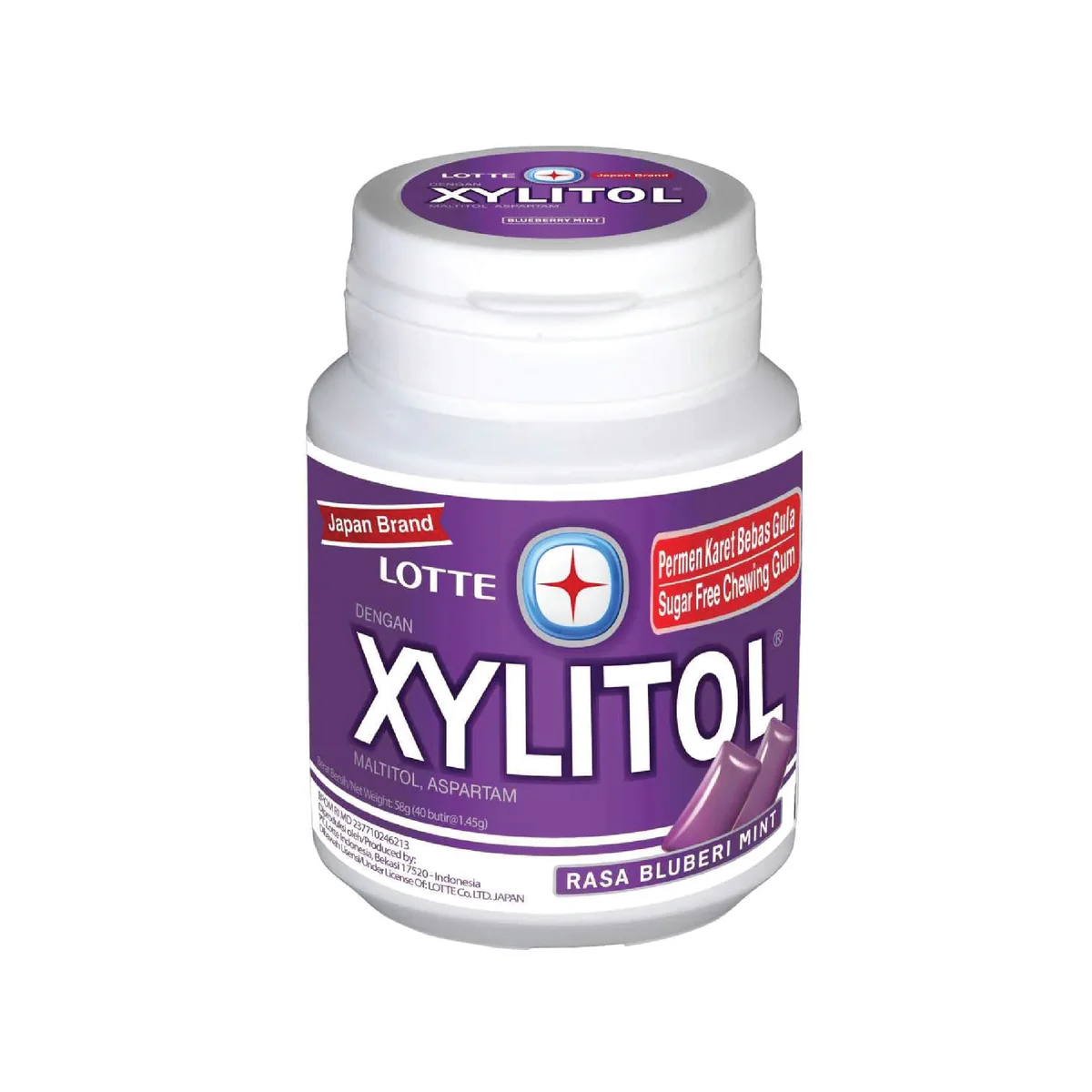 Lotte Xylitol Blberry Mint Btl 58Gr