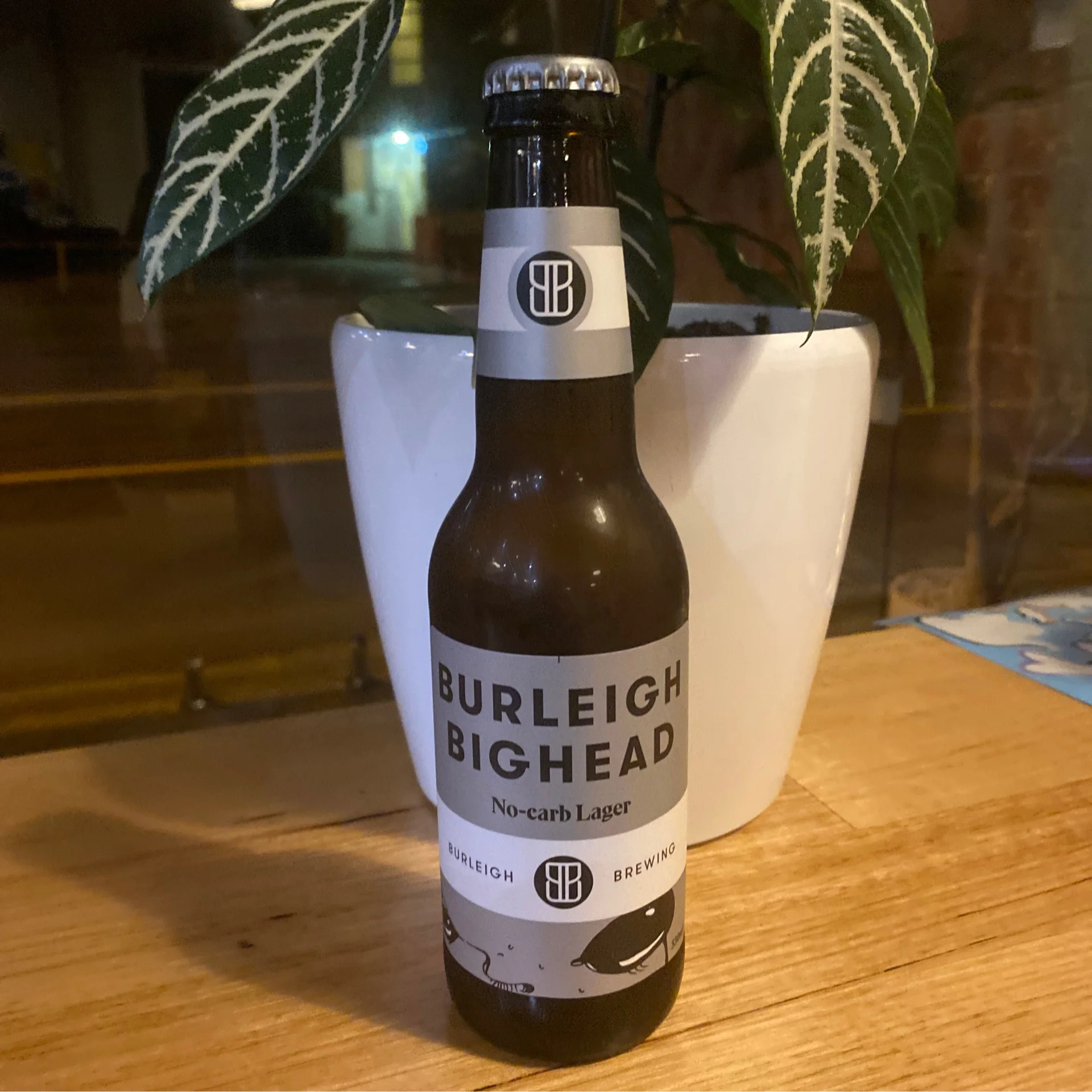 Burleigh Big Head Lager
