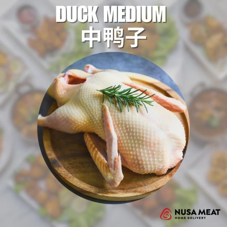 DUCK MEDIUM 中鸭子