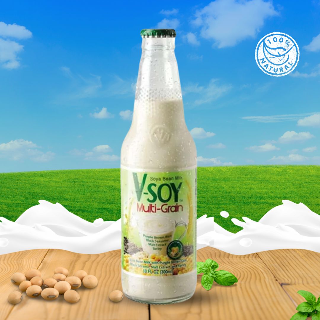 V Soy – Multi Grain 300 ML